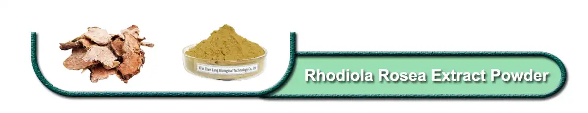 Rhodiola Rosea Extract .jpg